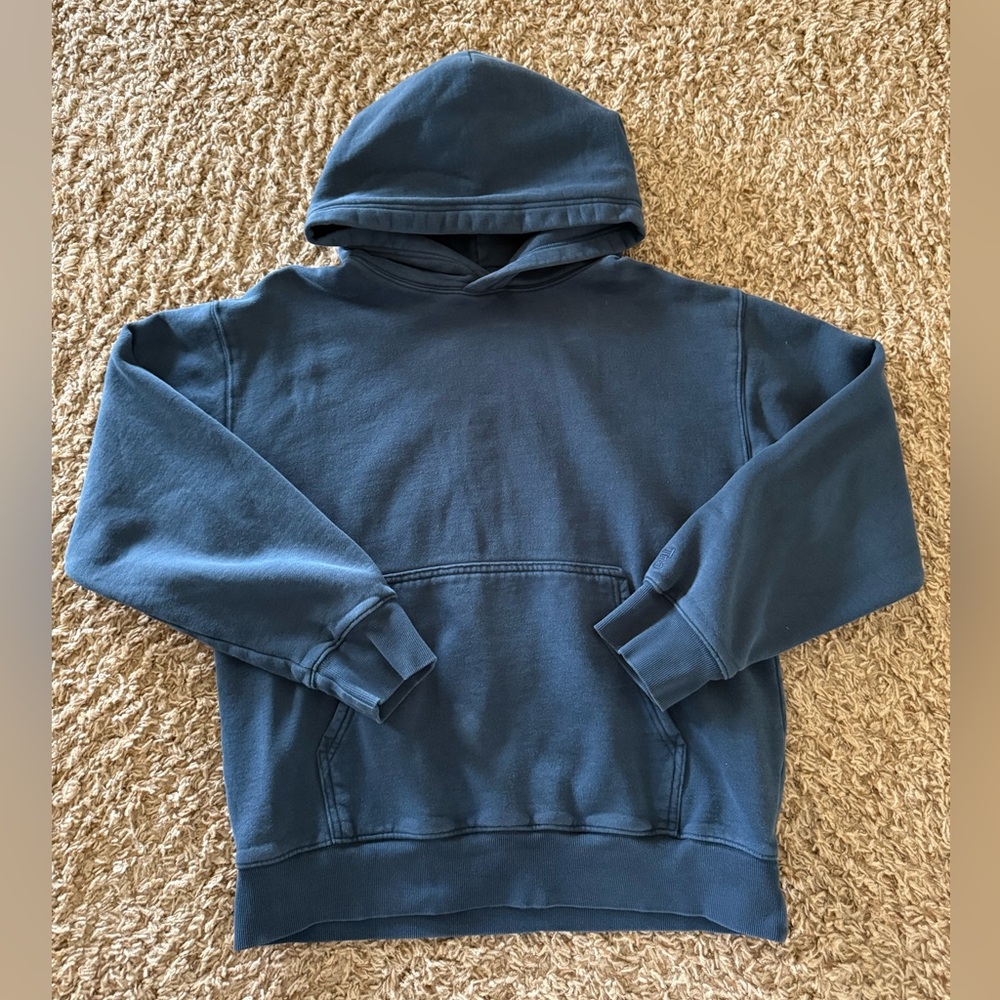 Aritzia / TNA CozyAF Fleece Perfect Hoodie